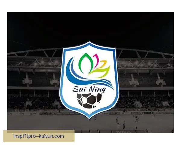 新队徽大揭幕：解析新队标背后的故事与意义，展现球队文化与历史价值